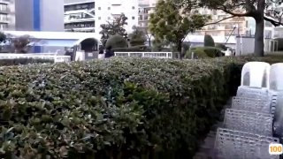 《日韩免费在线观看》中文字幕免费在线观看-动作片- 智慧影院